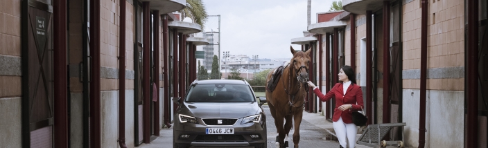 El caballo contra el León